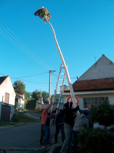 Soubor /maje (2).jpg